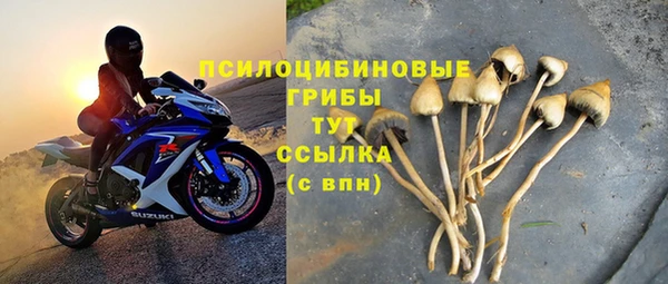 бошки Арсеньев