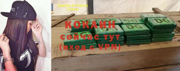 бошки Арсеньев